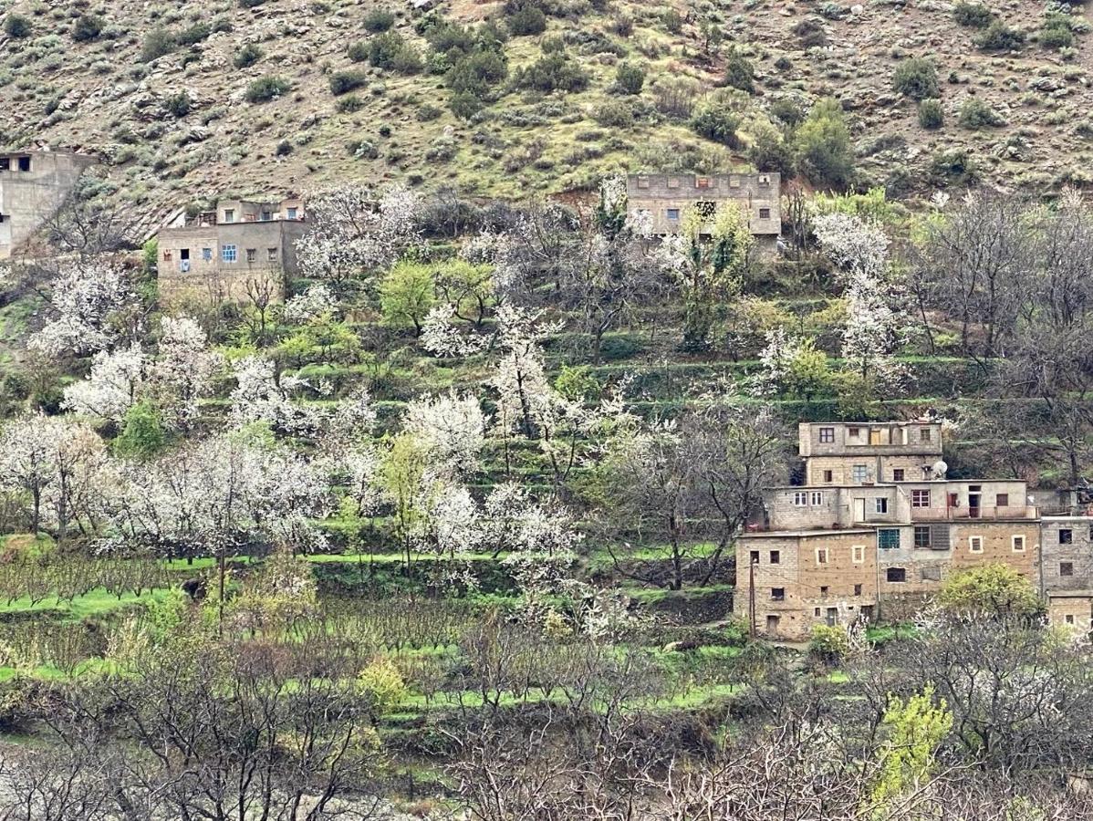 לינה וארוחת בוקר Asgaour Amlougui House מראה חיצוני תמונה